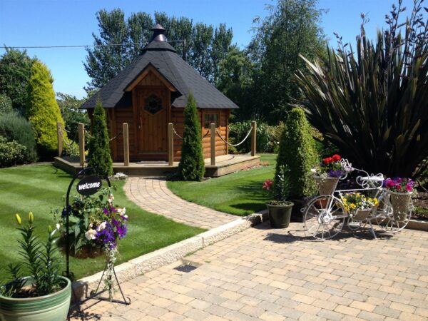 Tegula - Image 3