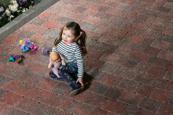 Tegula - Image 4