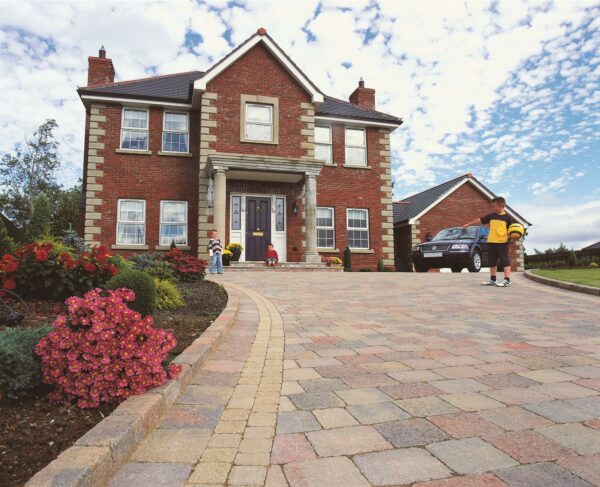 Tegula