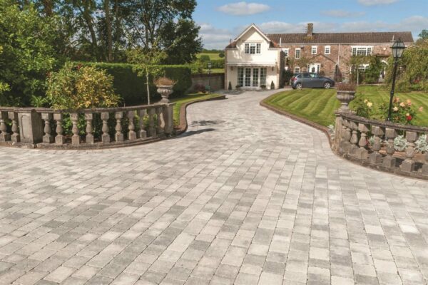 Tegula - Image 5