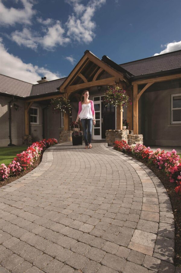 Tegula - Image 2