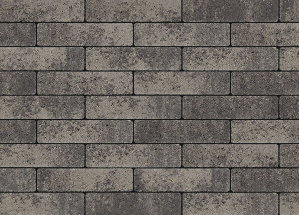 Artro - Image 4