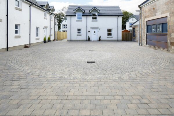 Shannon - Image 13