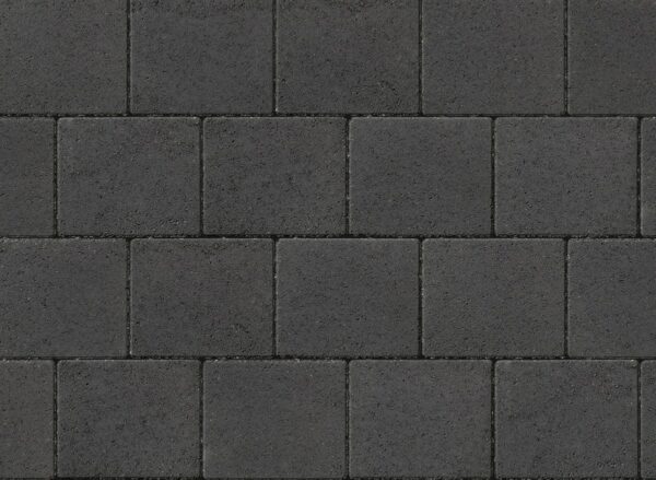 Shannon - Image 4