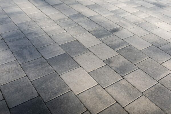 Shannon - Image 7