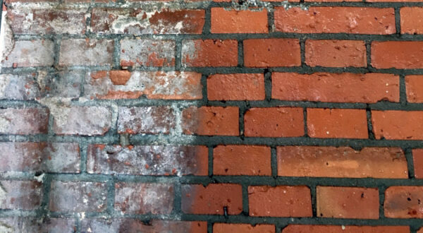 ProtectiT Efflorescence Remover - Image 3