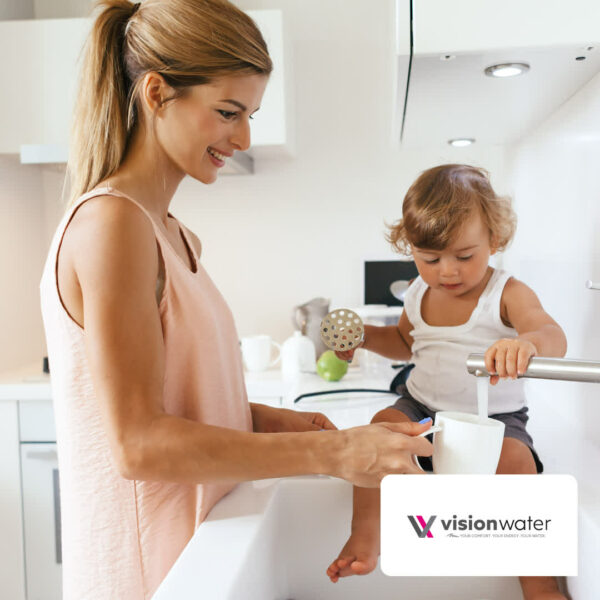 Vision Water DVGW Self-Cleaning Filter - Image 2
