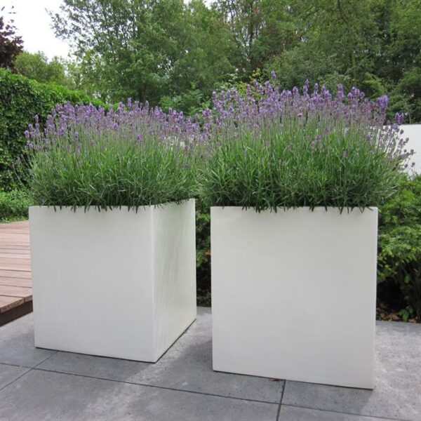 Carrez With Wheels Fibreglass Planters - Image 3