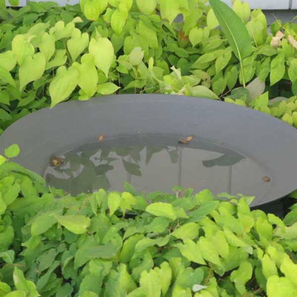 Water Bowls Galvanised Steel - Image 2
