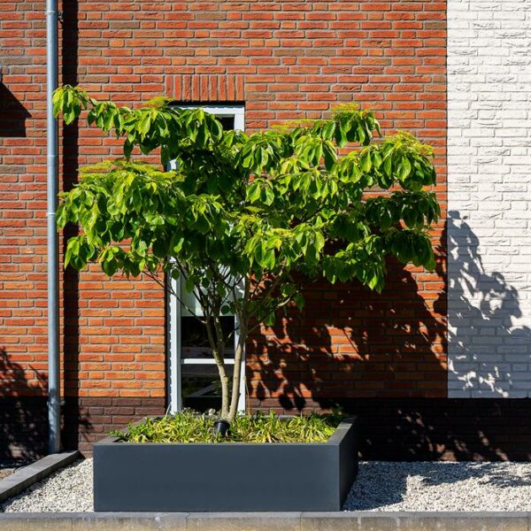Carrez Fibreglass Planters - Image 6