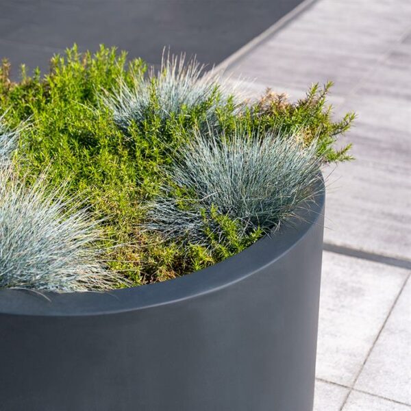 Circum Fibreglass Planters - Image 2