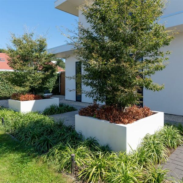 Carrez Fibreglass Planters - Image 3