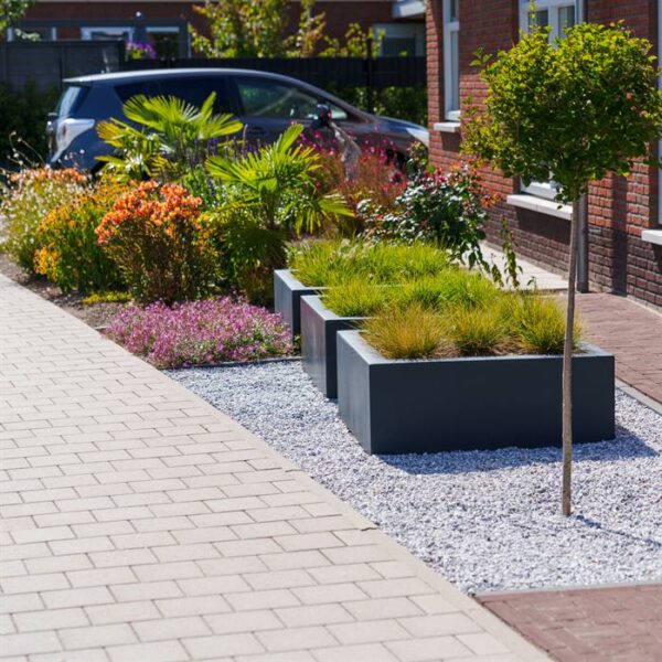 Carrez Fibreglass Planters - Image 2