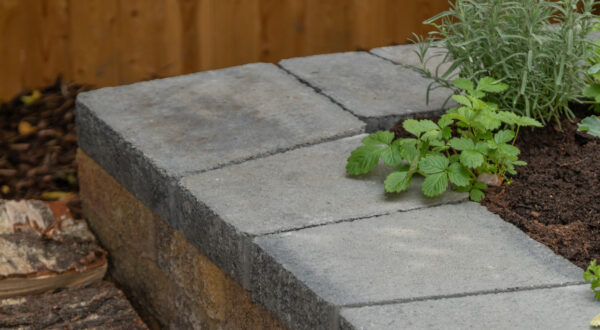 Petite Bordeaux Walling - Image 4