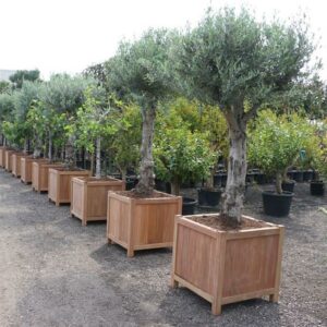 Planters