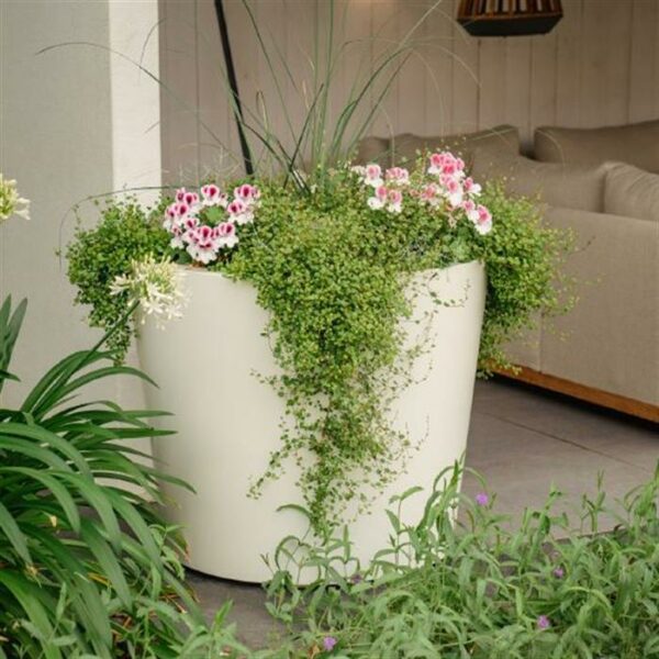 CONIC Fibreglass Planters - Image 2