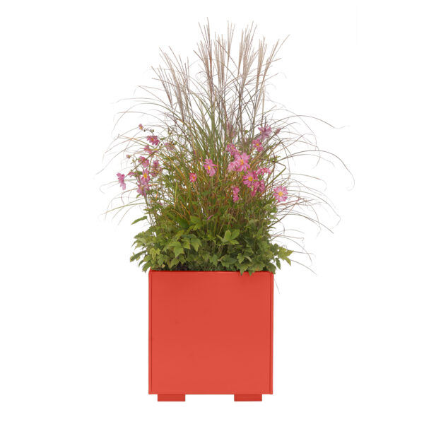 Galvanised Planters - Image 3