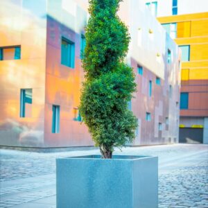 Galvanised Planters