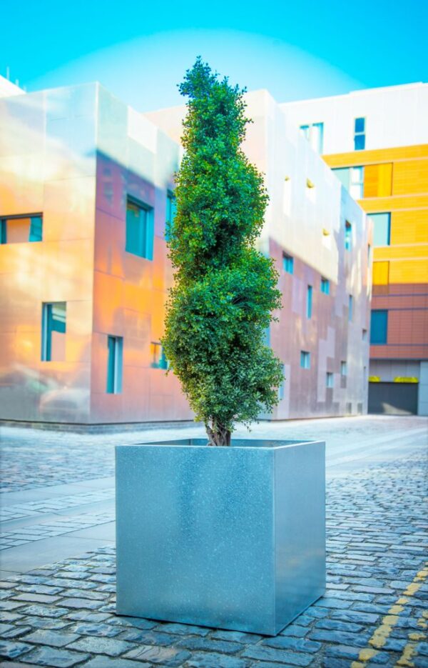 Galvanised Planters