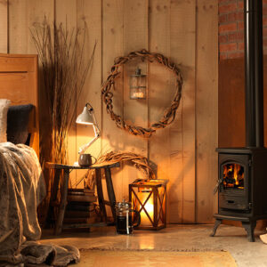 Tiger Cub Eco 4kW Stove