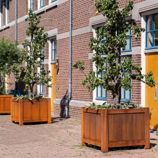 York Hardwood Planters - Image 4